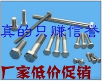 4 8 Class galvanized Outer hexagonal head bolt M12 Full series normal screw white national standard screws
