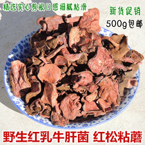 Northeast wild fungus specialty red milk Boletus dried goods 500g soup Mountain Rare Mushroom Red Pine umbrella