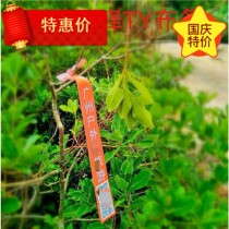 Shandong event mountaineering outdoor advertising small red cloth standard custom ribbon ribbon strap tree gradient color Free typesetting