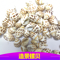Fish tank landscaping shell conch aquarium crafts ornaments sea water tank decoration set