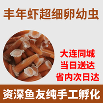 Ultra-fine eggs frozen abundance shrimp larvae Halogen young Ultra-abundance shrimp larvae Fine goldfish avatar tiger seedlings juveniles open