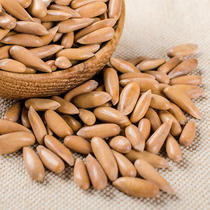 (Zhu Ji fried goods) Brazilian pine nuts healthy pregnant women hand-peeled nuts casual snacks product bag 250g