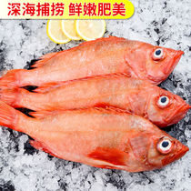 (10 catty) oversea catching red grouper fish whole fresh frozen deep sea fish rich fish with great eye fish seafood