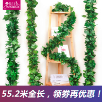 Rattan decorative flower rattan Plastic green leaf vine winding fake leaf plant green dill pipe ceiling simulation grape leaves