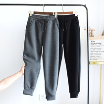 Winter new womens thick lamb cashmere leisure sports high waist loose Harlan pants Joker slim toe black