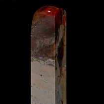 Old Tree Coagulated Daishanized Stones Great Blood Head Seal Love Japans Museum of Fossilized Museum Seal Engraving of the National Museum of the World
