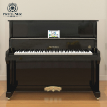 Germany Pruitna 125-SN imported new black upright piano high-end professional piano