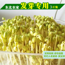 5kg of northeast soybeans in 2019 new farmhouse self-produced big soybean milk sprouting special grains