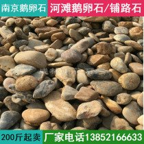 Nanjing cobblestone filter material River beach stone River pebble warm bean stone gravel Washing stone Courtyard garden paving stone