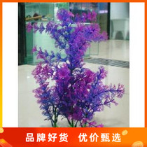 Fish tank build-up simulation of water grass