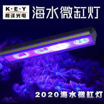 Ke translation key seawater fish tank LED micro cylinder lamp algae tank lamp