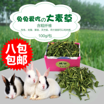 2021 New barley section Dutch pig guinea pig grass grain rabbit ChinChin forage snack feed rabbit hay