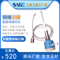 Start-up control direct radio frequency guidance material level switch steel rope material detector fast delivery can accept non-standard customization
