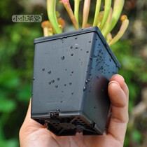 Small square pot size black square pot plastic thickened square flowerpot carnivorous plant small Cordyceps custom pot