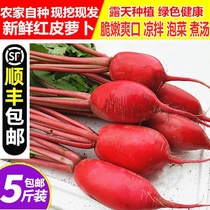 (Shunfeng) Hubei farmhouse self-planted fresh carrot red white heart Rouge radish kimchi 10kg