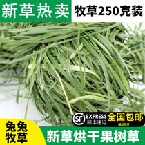 21 Years New Grass Dried Fruit Tree Grass Rabbit Dutch Pig Hay 250g Replace Grass Oat Grass 5