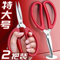 Special Size Portable Beauty Engineering Student Soft Handle Sharp Special Stainless Steel Cut home cut head Scissors Pointed Cook