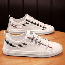 Autumn canvas mens shoes a pedal small white board shoes old Beijing Ice Silk cloth shoes lazy people driving leisure trendy shoes