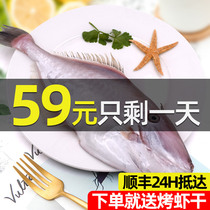 Zhoushan fresh big consuming baby fish peeling fish rubber fish horse noodle fish Ningbo frozen seafood aquatic hot pot ingredients