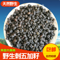 Acanthopanax seed tea Wild vegetable fungus Northeast specialty Wild fresh Changbaishan sleep health fruit grain skin wine