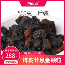 To the small North Birch velvet Chaga Inonotus obliquus black gold particles 1kg of 500g Birch velvet non-Russia