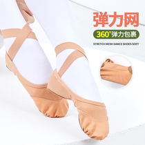 Dance Shoes Women Soft-bottom Adults Classical Ballet Camel Color Dance Special Indoor China Dance Cat Paw Performance