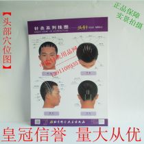 Head acupuncture wall chart learning reference small picture A4 paper size