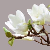 New Chinese simulation flower White magnolia flower living room table decoration fake flower dried flower with branches ornaments small flower arrangement petals