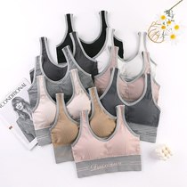 No Steel Ring Underwear Student High School Female U Type Beauty Back Harness Mesh Red Explosive Vest Bra Sports Obliterating Obliterating Breast