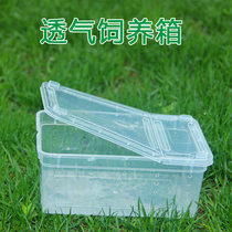 Big silkworm turtle spider reptile special feeding box multifunctional PP material breathable hole toughness