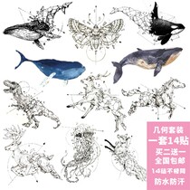 Geometric animal tattoo Stickers Color whale horse dinosaur deer Whale Fox Butterfly Goat Waterproof