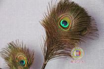 萨 Sakya light 吉祥 Auspicious products Peacock feather duster cleaning Buddha Hall Buddha elegant products