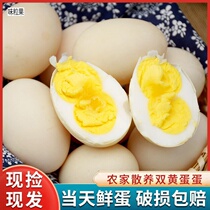 Goose eggs Zhengzong Double Yellow Most of the day Goose Eggs Fresh Farmhouse Loose Raised Eggs To Eat Fresh Pregnant Women 12 Loaded Eggs