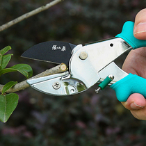 Zhang Xiaoquan tree branch scissors gardening scissors pruning shears Spring Series A3 steel non-slip handle sharp scissors