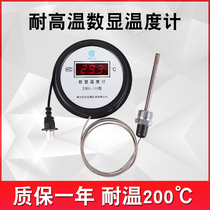 Digital thermometer water temperature meter electronic digital aquaculture cold storage fish pond bath water temperature measurement metal wire temperature measurement