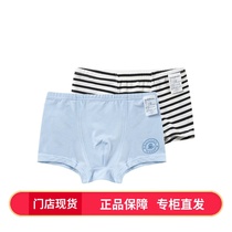 Barabara boys underwear 2 dress 2021 fall fit new pint boy young boy flat corner pants four-corner shorts