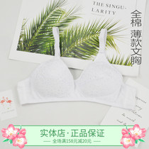Mom underwear spring and summer thin breathable white cotton no steel ring bra back buckle elderly bra 302 models