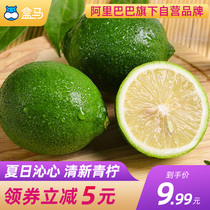 Box of horse green lemon fresh fruit 2kg milk tea shop dedicated