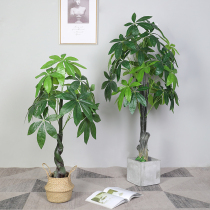 Fa fortune tree simulation Zucai potted living room large landing fake green plant decoration indoor room decoration decoration