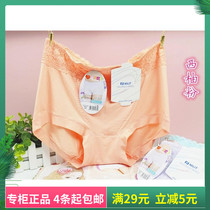 Daisy girl panties 21865 high waist large edition XL size solid color breathable smooth cool ice silk womens underwear women