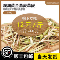 (About to be sold out) worry-free conventional Australian wheat 500g imported Australian gold oat grass rabbit hay feed