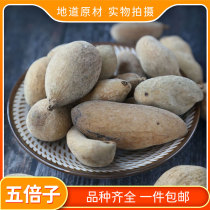 Pufen five times 500g grams of 100 insect Cang belly times can be ground Non-Yue Chinese herbal medicine and snake bed