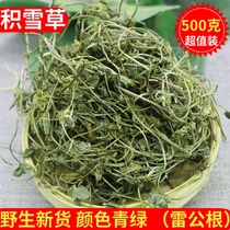 Wild snow grass 500g grams of medium herbal medicine Ray Gonggen sundried freshly-collapsed bowls horse hooded herbal tea saucepan soup stock