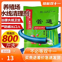 Pipe through chicken duck and pigeon farm water pipe water line dredge cleaning and cleaning algae blocking water 800kg bag