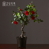 Nordic simulation camellia tree potted ornaments creative living room large green plant indoor desktop fake tree decoration fake flower decoration