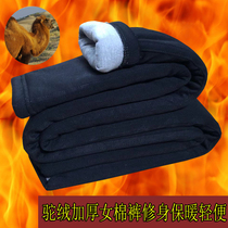 Winter womens camel velvet cotton pants thickened warm pants Elastic high waist stretch slim-fit mom pants inside and outside wear three layers of fashion