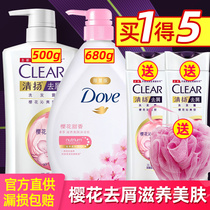 Qingyang shampoo Dove shower gel combination set Anti-dandruff long-lasting fragrance shampoo liquid Womens family pack