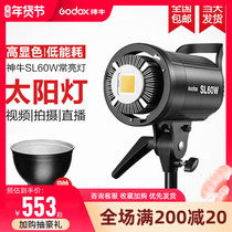 Shenniu SL60W sun light led photography light anchor Live fill light always bright soft light live room short video studio short video studio photo camera gourmet children indoor light beauty light set