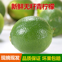 Seedless green lemon net weight 5kg Fresh mail free skin thin juicy fresh lemon fruit lime green lemon
