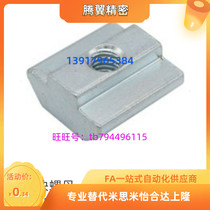 Aluminium profile T-type slider nut TNTB-20 30 40 45-M4 M5 M5 M8 M8 Lung Standard